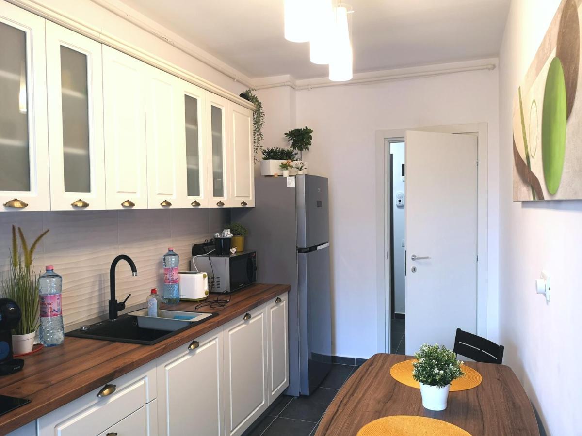 Lazo Two Room- Luxury Apartment بوخارست المظهر الخارجي الصورة